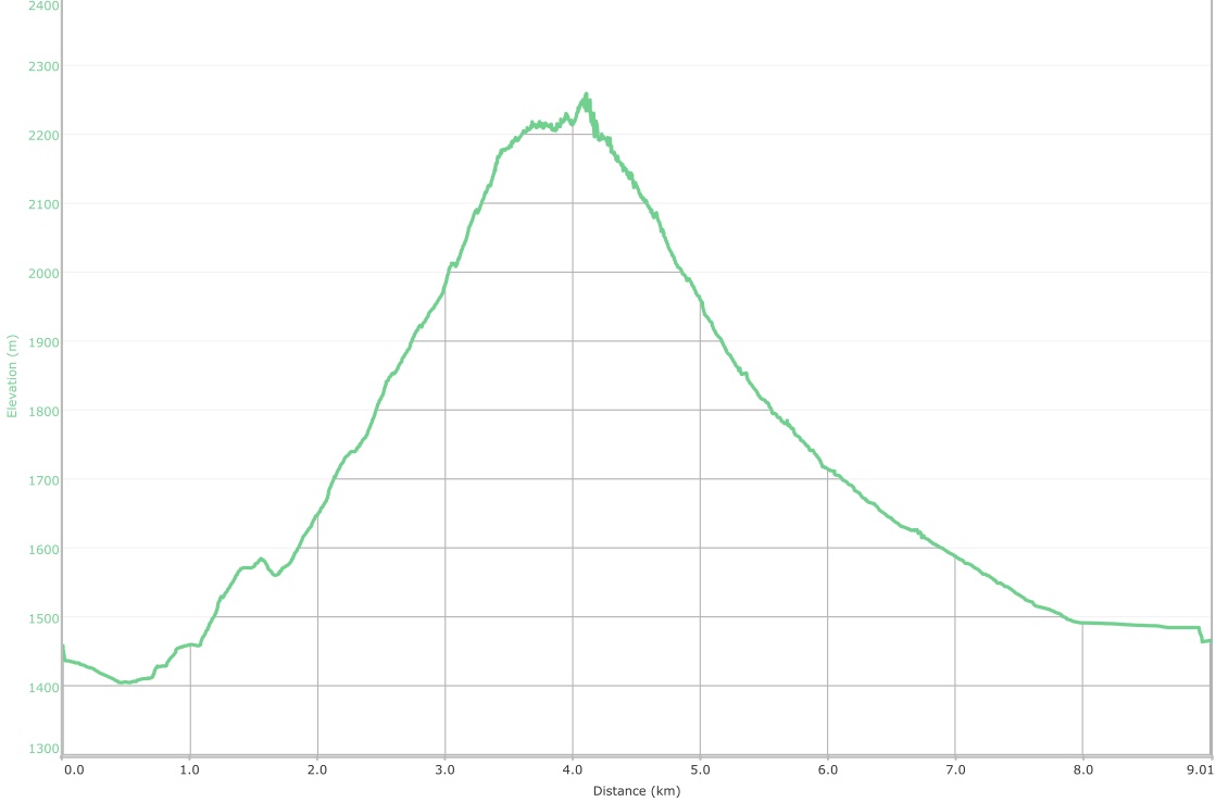 Morin Peak Graph