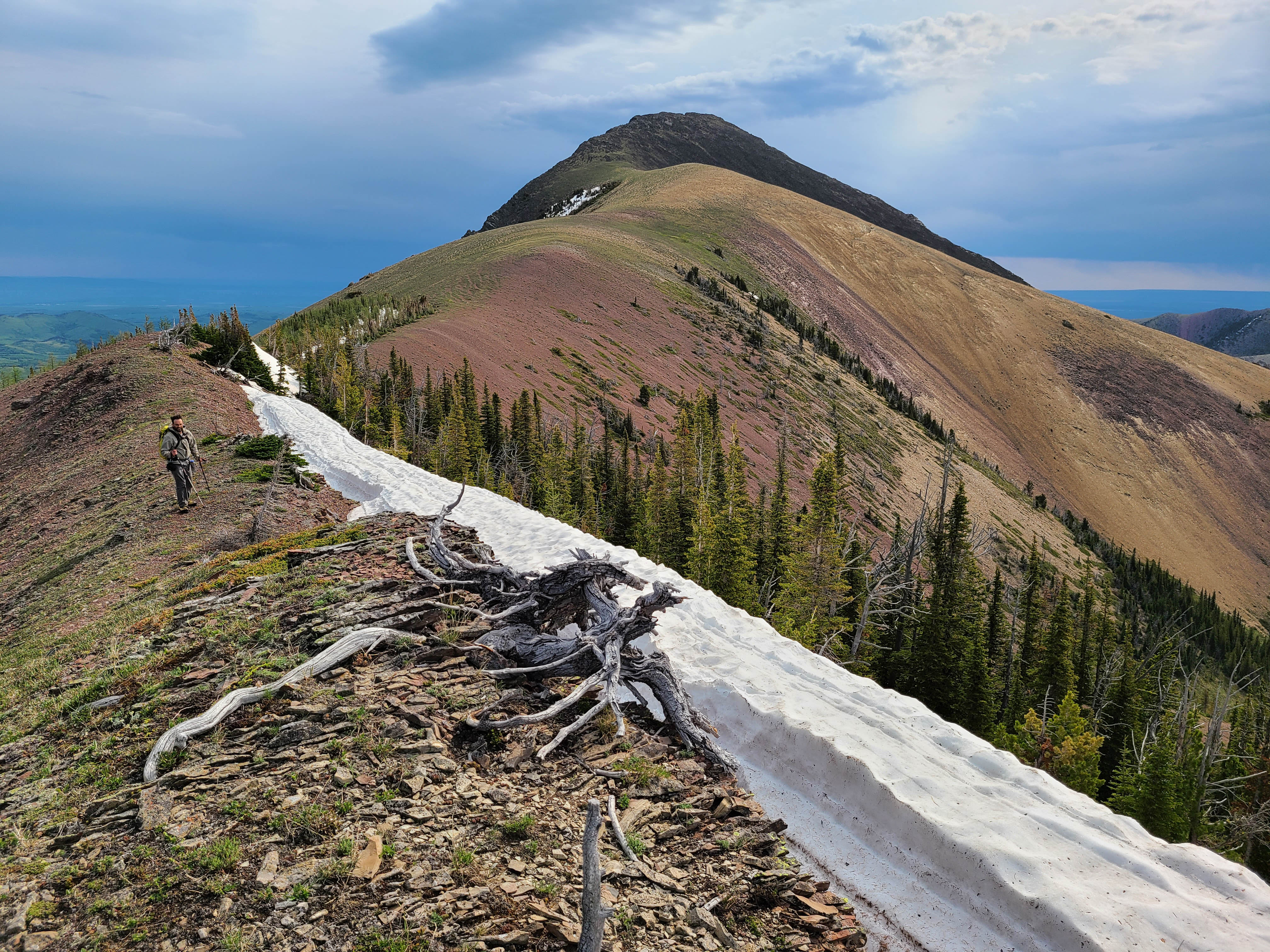 Victoria Ridge Pa Pincher Ridge to Victoria Ridge Traverse (Centre Peak), 13 June 2020 ...