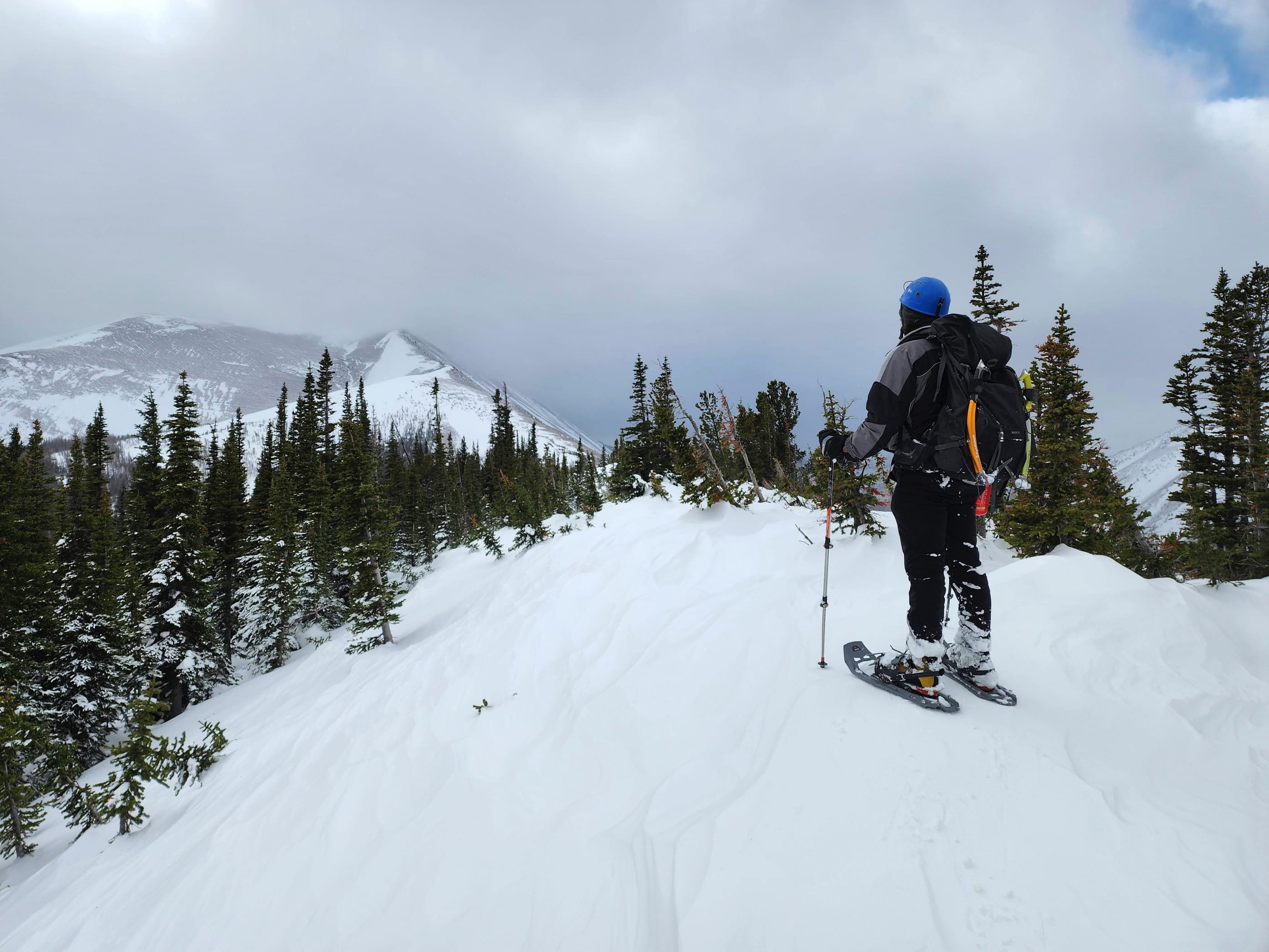 “North Drywood Ridge”, 5 February 2023