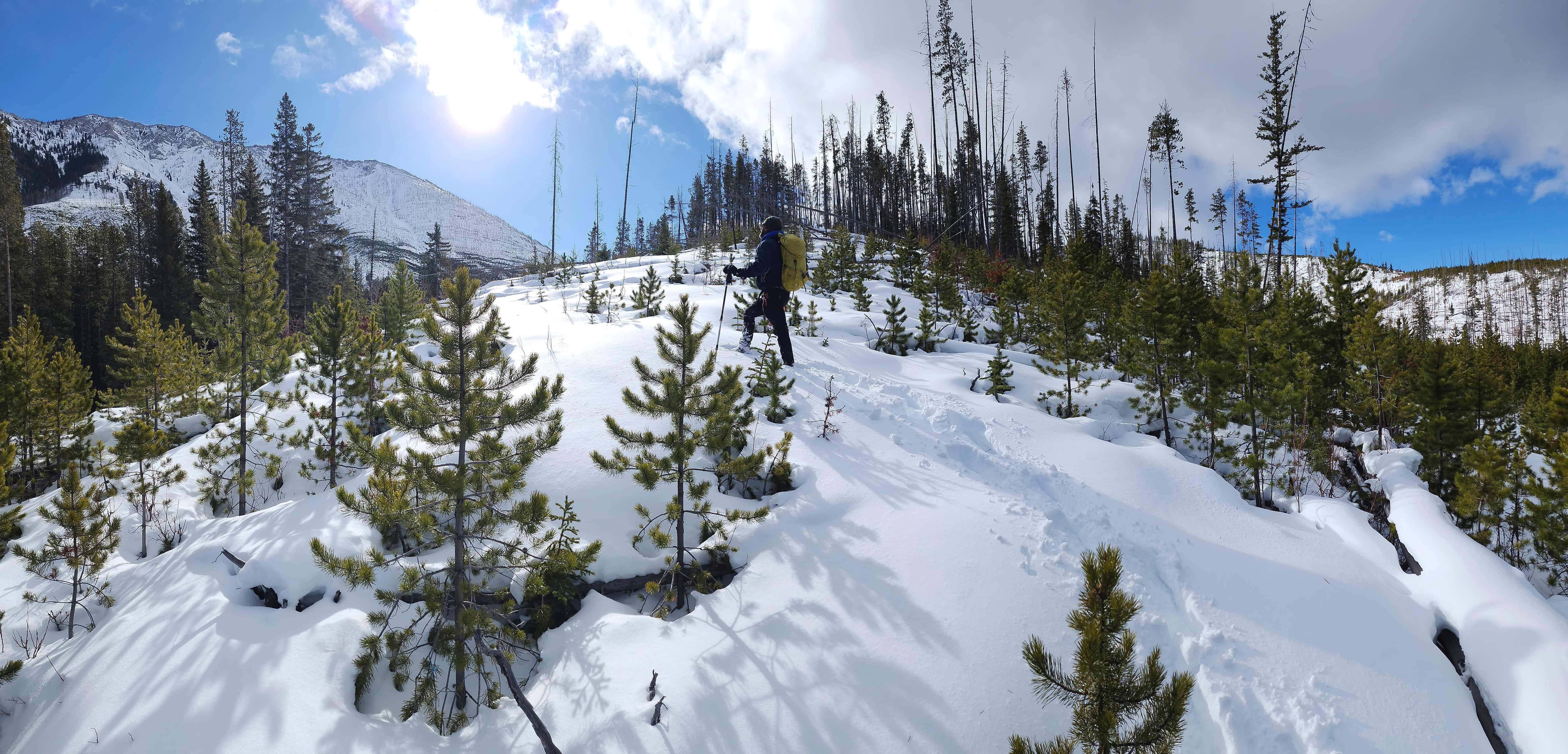 “Sartoris Ridge” and “Hurtle Peak” (attempt), 10 March 2024